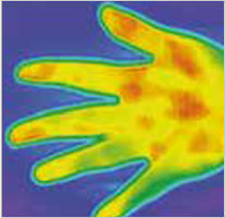 Thermal image sample 4