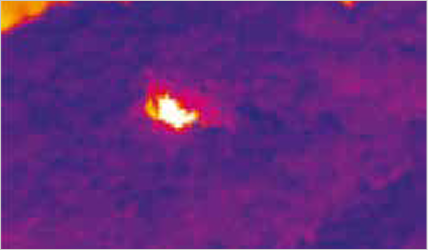 Thermal image sample