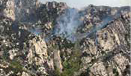 Thermal image sample3