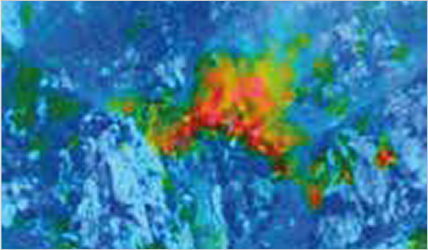 Thermal image sample4